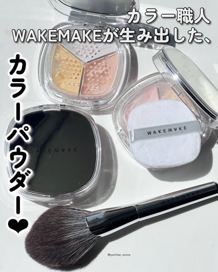 ステイフィクサーマルチカラーパウダー/wakemake/ルースパウダーを使ったクチコミ(1枚目)