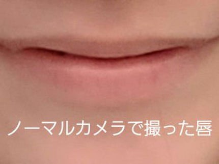 ラブコスオイルリップ/ラプコス/リップグロスを使ったクチコミ(2枚目)