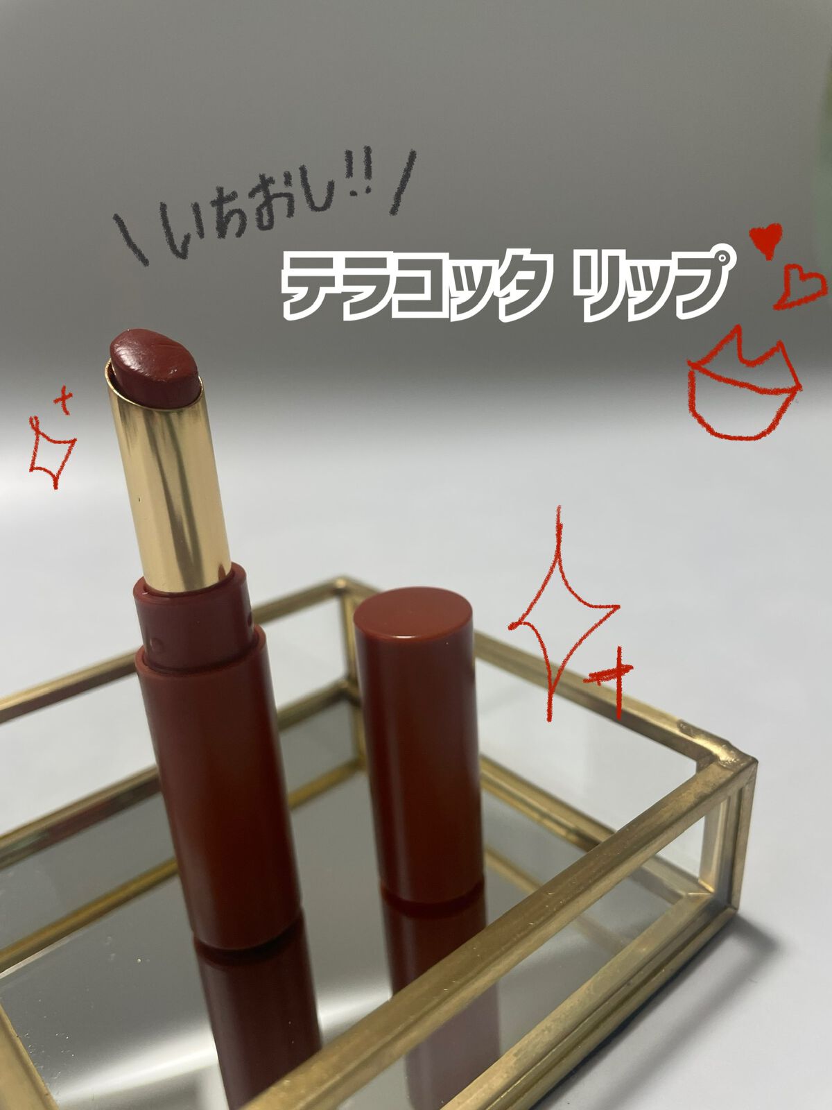 エテュセ リップエディション(ティントルージュ) 05 テラコッタオレンジ/ettusais/リップティントを使ったクチコミ（1枚目）