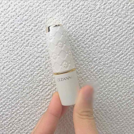 ラスティング リップカラーN/CEZANNE/口紅を使ったクチコミ(1枚目)