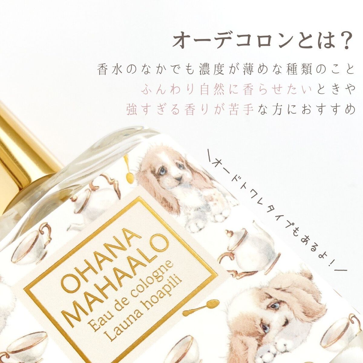 オハナ・マハロ オーデコロン <ラウナ ホアピリ>/OHANA MAHAALO/香水(レディース)を使ったクチコミ(4枚目)