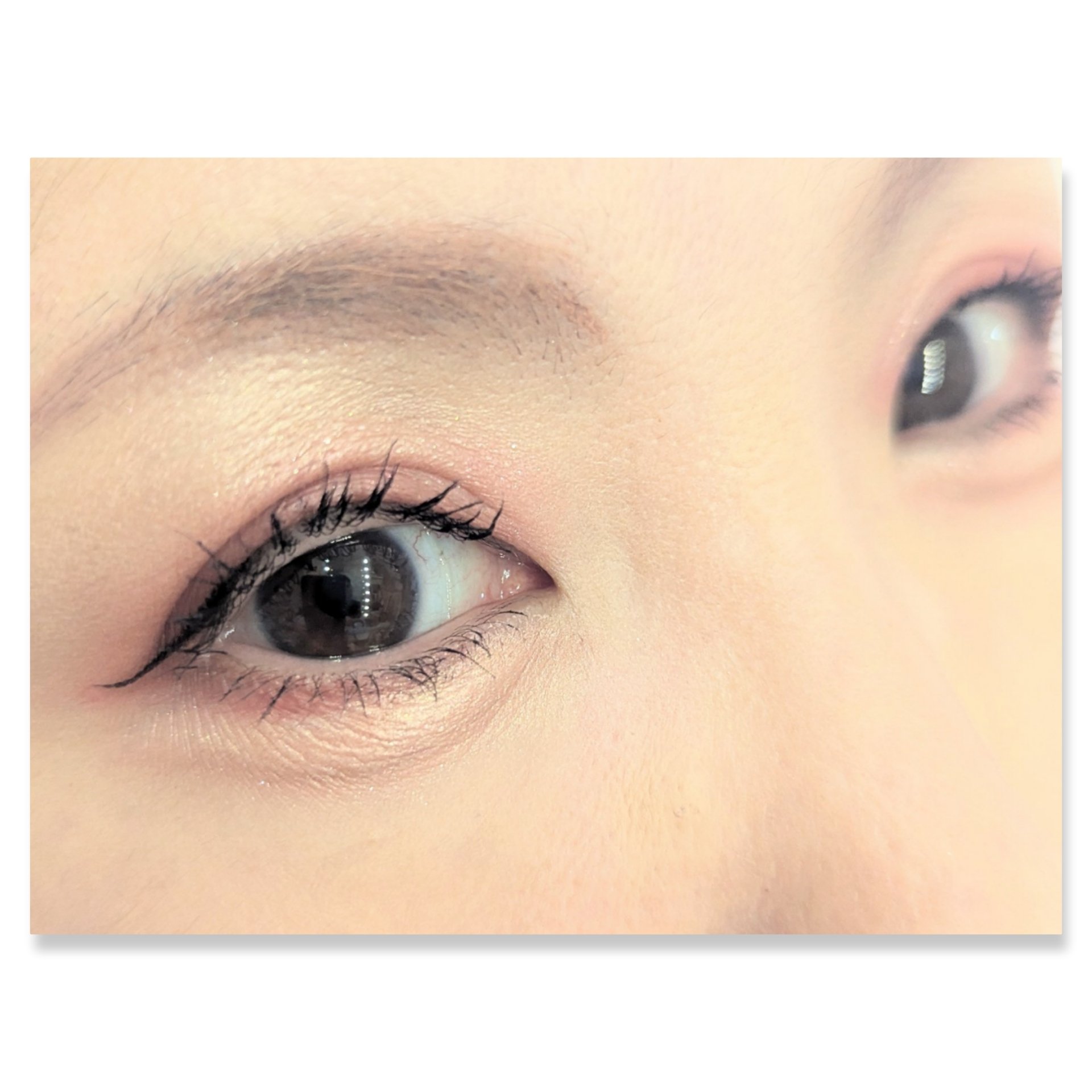 シルキースフレアイズ（マットタイプ） M02 チャイブリック/キャンメイク/アイシャドウパレットを使ったクチコミ（2枚目）