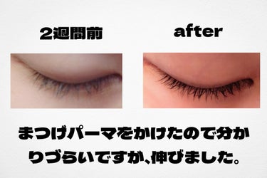 FEG  Eyelash  Enhancer/FEG/まつげ美容液を使ったクチコミ（3枚目）