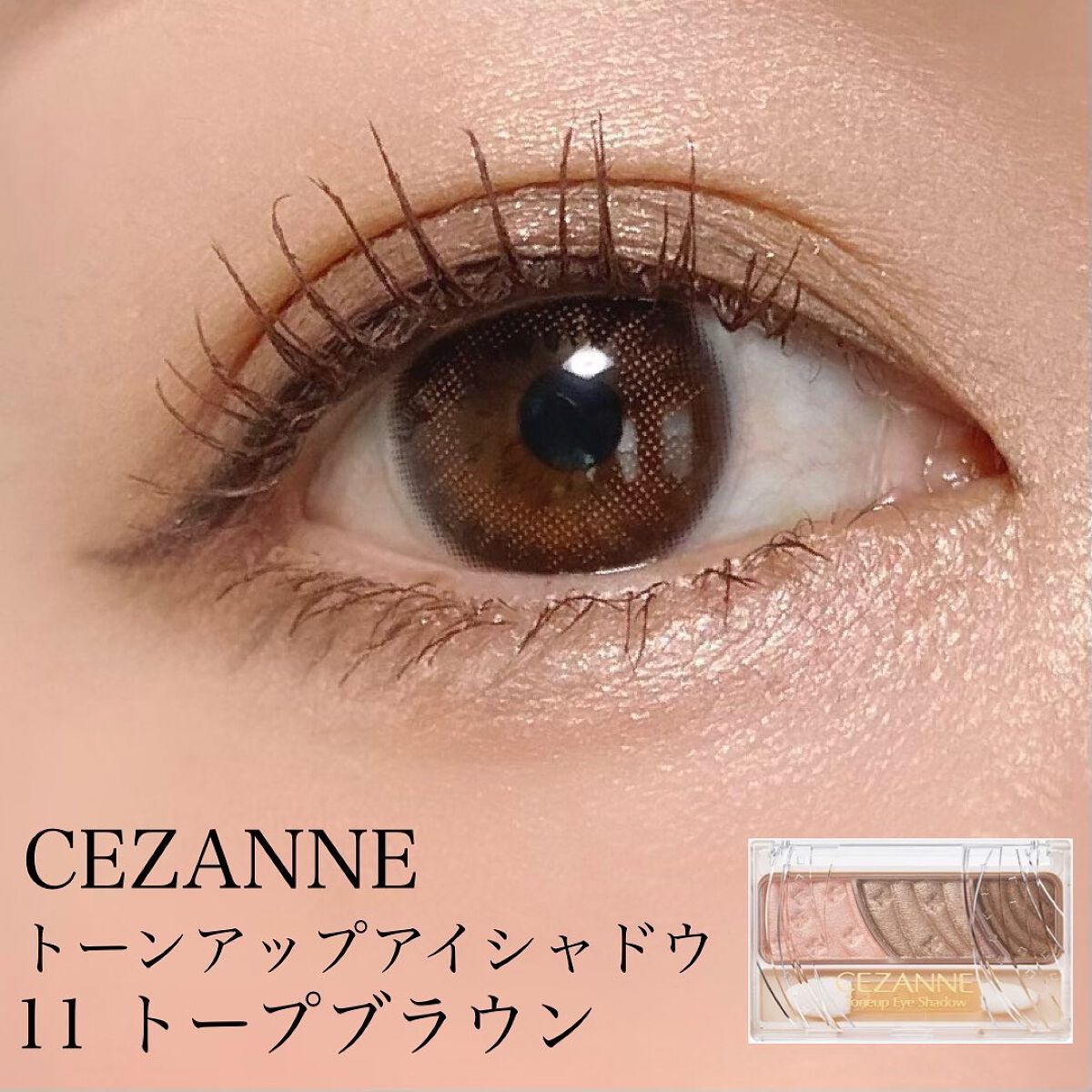 トーンアップアイシャドウ/CEZANNE/アイシャドウパレットを使ったクチコミ(1枚目)
