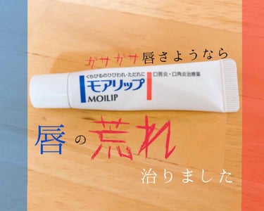 モアリップ N (医薬品)/資生堂薬品/リップケア・リップクリームを使ったクチコミ（1枚目）