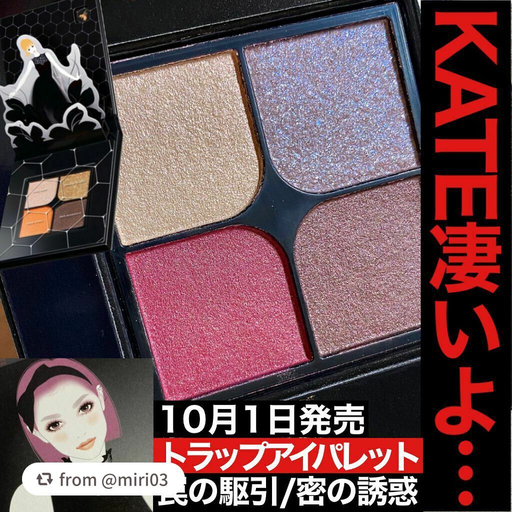 トラップアイパレット/KATE/アイシャドウパレットを使ったクチコミ(1枚目)