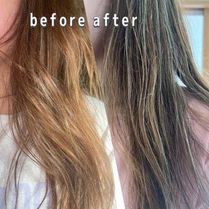 GLOSSY COAT SHAMPOO / TREATMENT/SANUS HAIR FILTER/市販シャンプーを使ったクチコミ(5枚目)