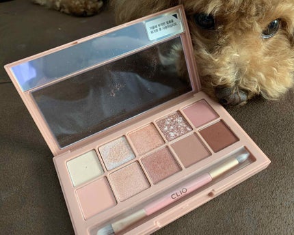 プロ アイ パレット/CLIO/アイシャドウパレットを使ったクチコミ(2枚目)