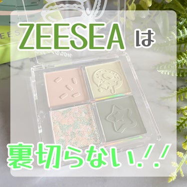 ZEESEAデザートコレクション４カラーアイシャドウパレット/ZEESEA/パウダーアイシャドウを使ったクチコミ（1枚目）