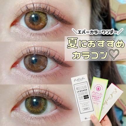 エバーカラーワンデー モイストレーベル/エバーカラー/ワンデー(1DAY)カラコンを使ったクチコミ(1枚目)