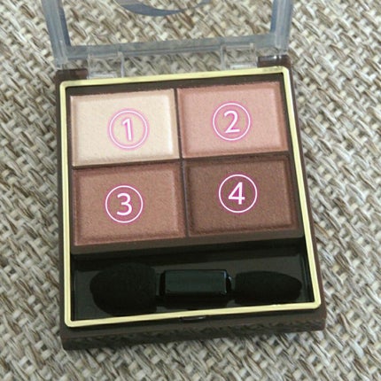 スキニーリッチシャドウ/excel/アイシャドウパレットを使ったクチコミ(2枚目)