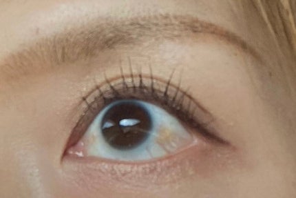 ラッシュエキスパンダー ロングロングロング/MAJOLICA MAJORCA/マスカラを使ったクチコミ(1枚目)