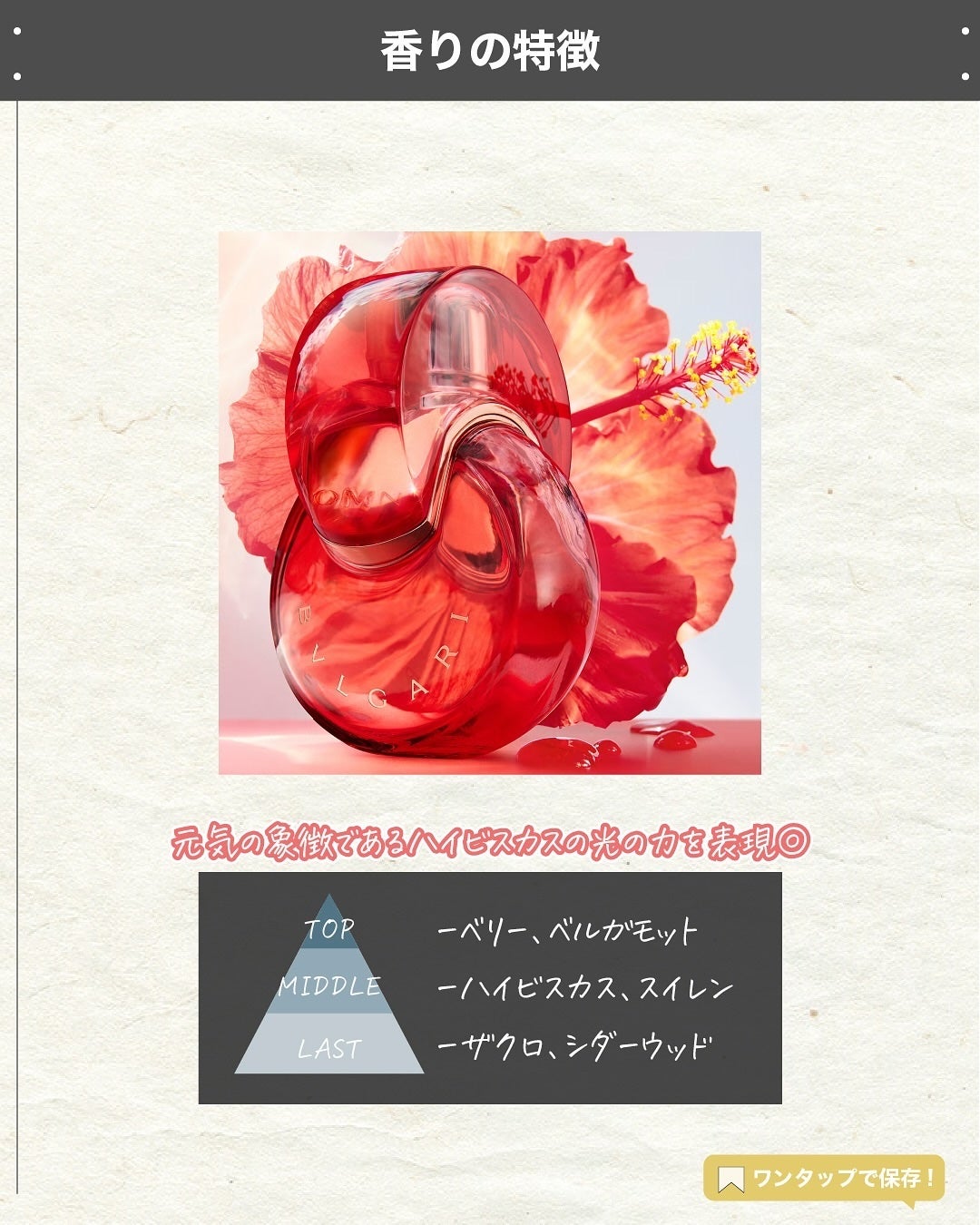 エスログ┊1日1分のモテ香水紹介 on LIPS 「.『ブルガリ華の香水』🌳製品情報🌳BVLGARIオムニアコーラ..」(3枚目)