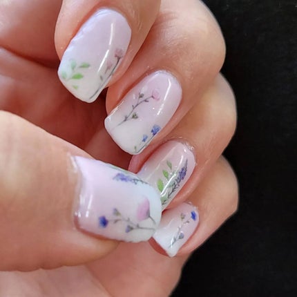 ジェルネイル LED スターターキット(16W LEDランプ&定番カラー3色付)/SHINYGEL/ネイル用品を使ったクチコミ(1枚目)