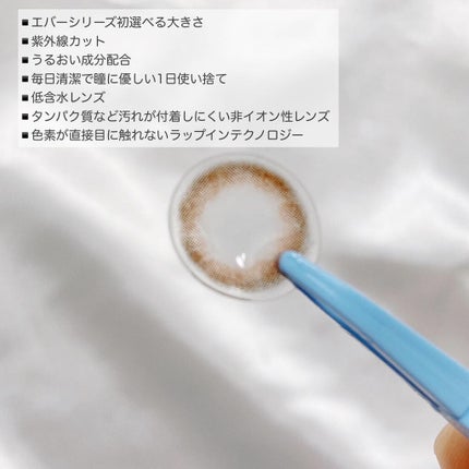 エバーカラーワンデー モイストレーベル チークプルーム/エバーカラー/ワンデー(1DAY)カラコンの画像