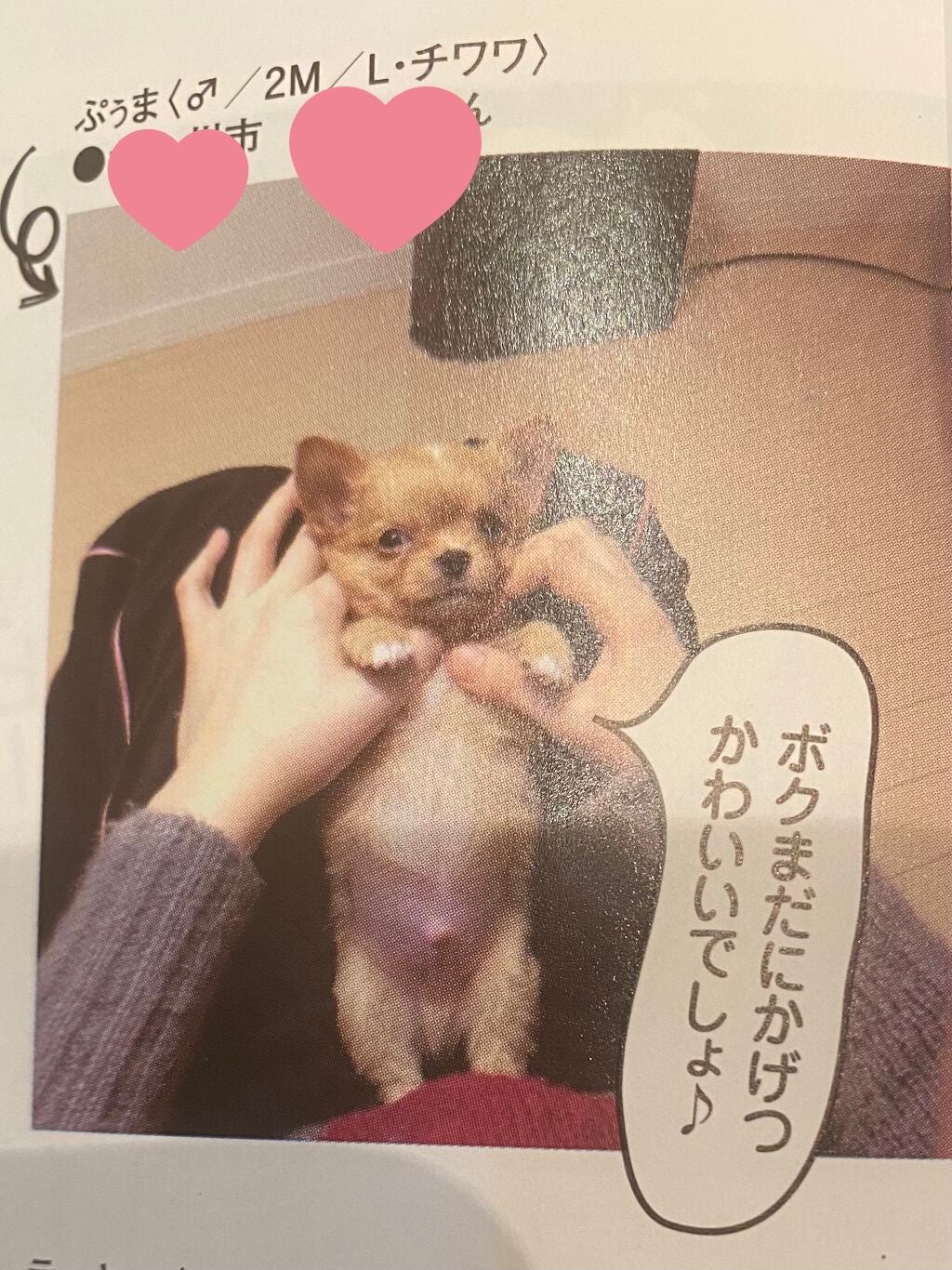 ぷぅぴぃ《紫コス部💜💗》 on LIPS 「おはようございますヽ(•̀ω•́)ゝ2021年1月25日ぷぅま..」(7枚目)