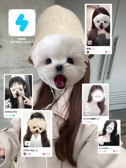 vii (ナナピ)|フォロバします♡ on LIPS 「インスタエフェクト終了に伴い、顔隠し界隈のSNOWおすすめフィ..」(1枚目)