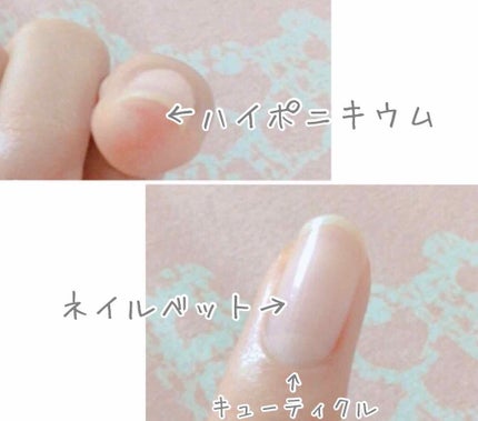 ネイルケアオイル/無印良品/ネイルオイル・トリートメントを使ったクチコミ(3枚目)