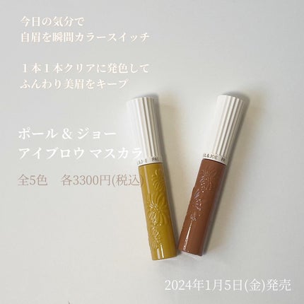 アイブロウ マスカラ/PAUL & JOE BEAUTE/眉マスカラを使ったクチコミ(2枚目)