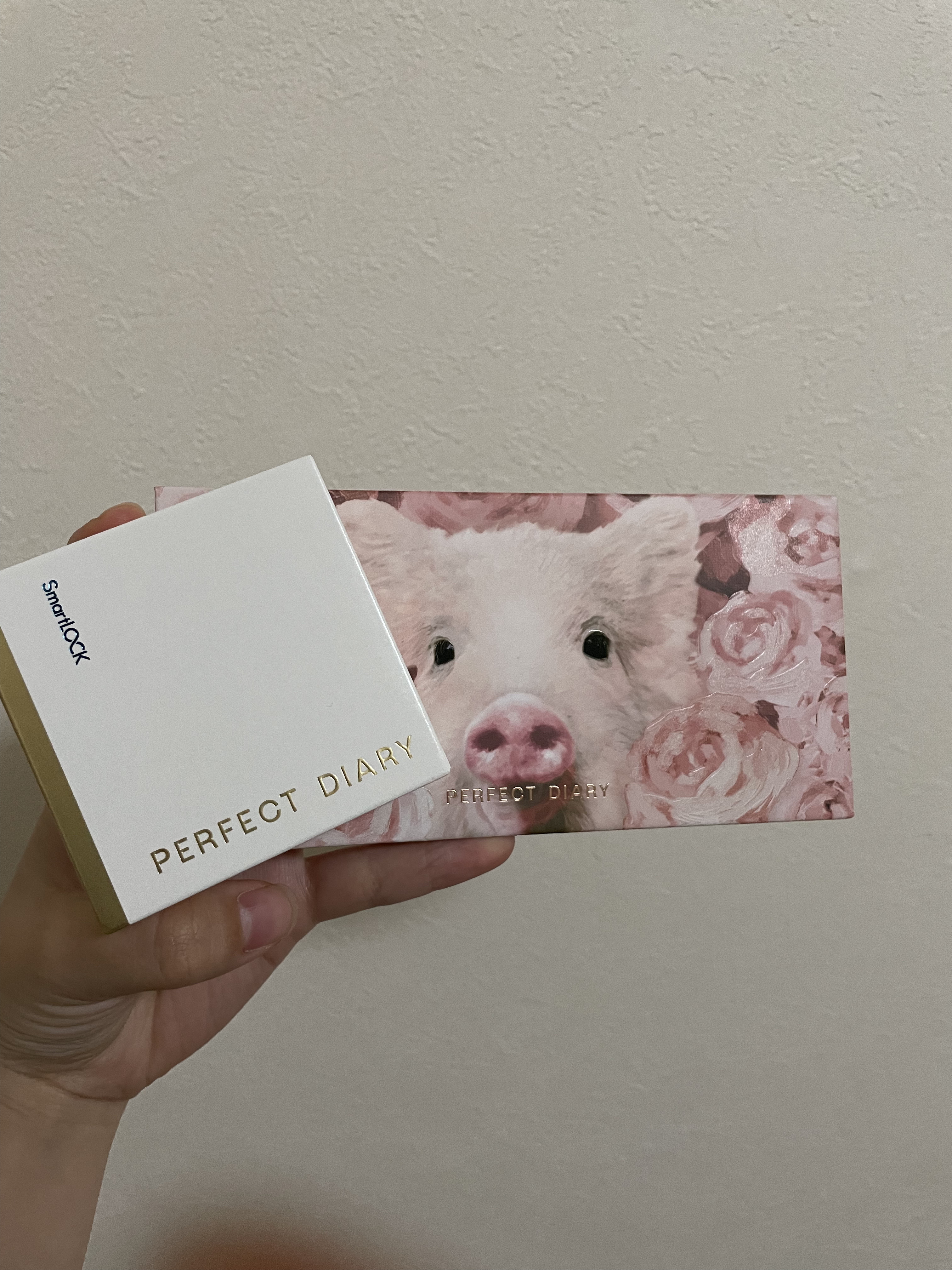 エクスプローラ12色 動物アイシャドウパレット/PERFECT DIARY/アイシャドウパレットを使ったクチコミ（1枚目）