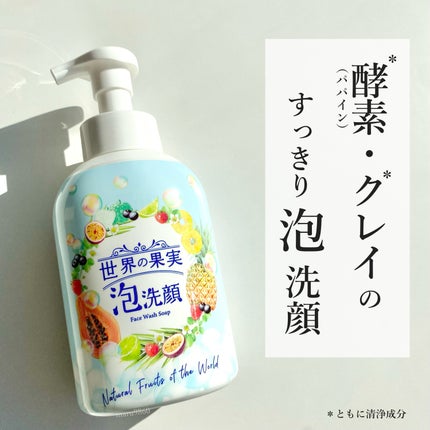世界の果実 すっきり泡洗顔/世界の果実/泡洗顔を使ったクチコミ(1枚目)