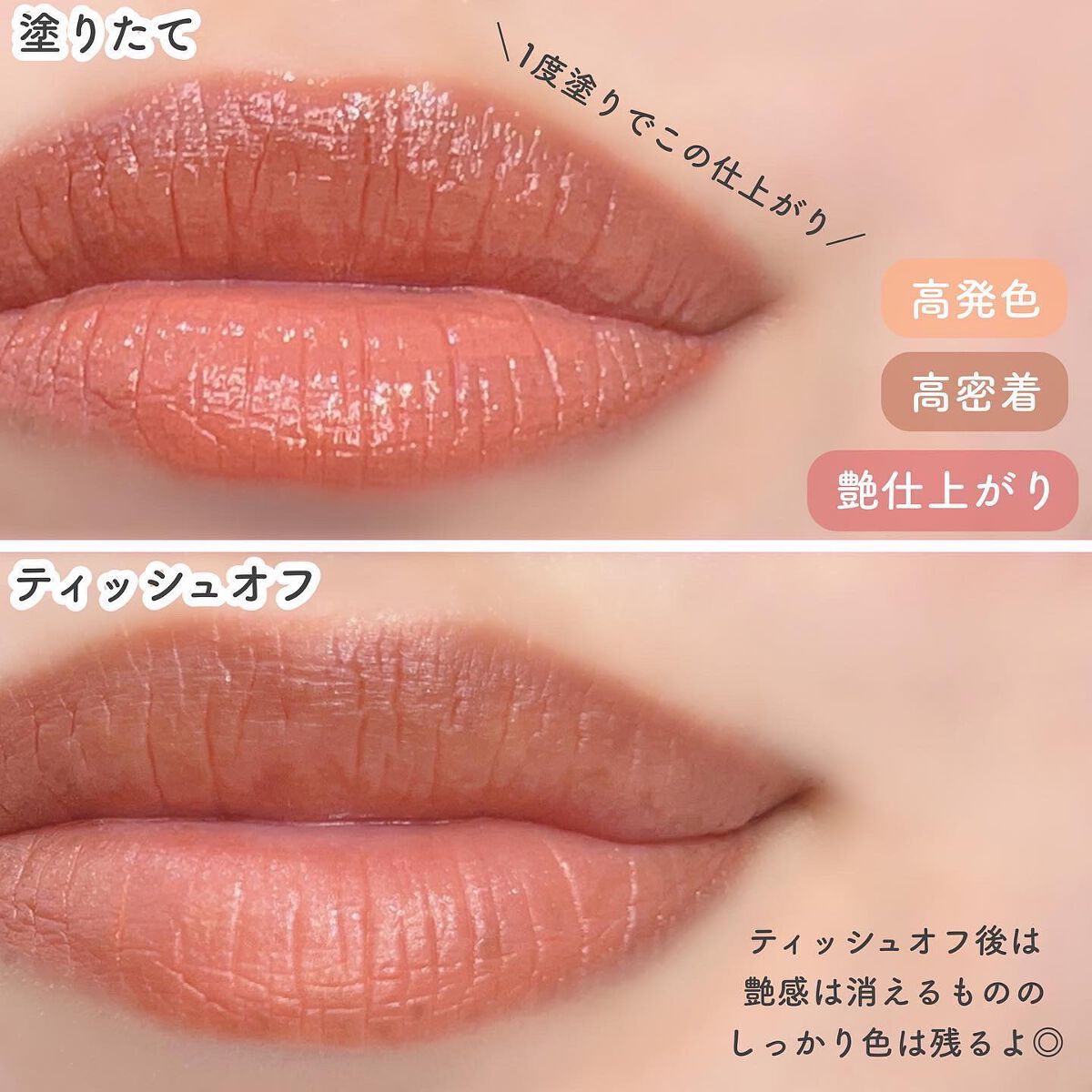 フランシュリッペ to512-01804-01b.jpg