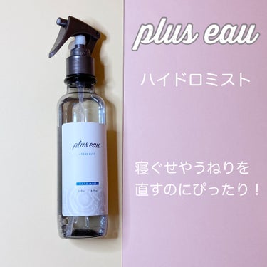 ハイドロミストN/plus eau/アウトバストリートメントを使ったクチコミ（3枚目）