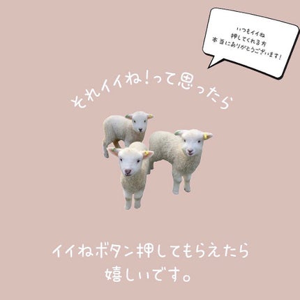 アイラッシュカーラー/SHISEIDO/ビューラーを使ったクチコミ(5枚目)