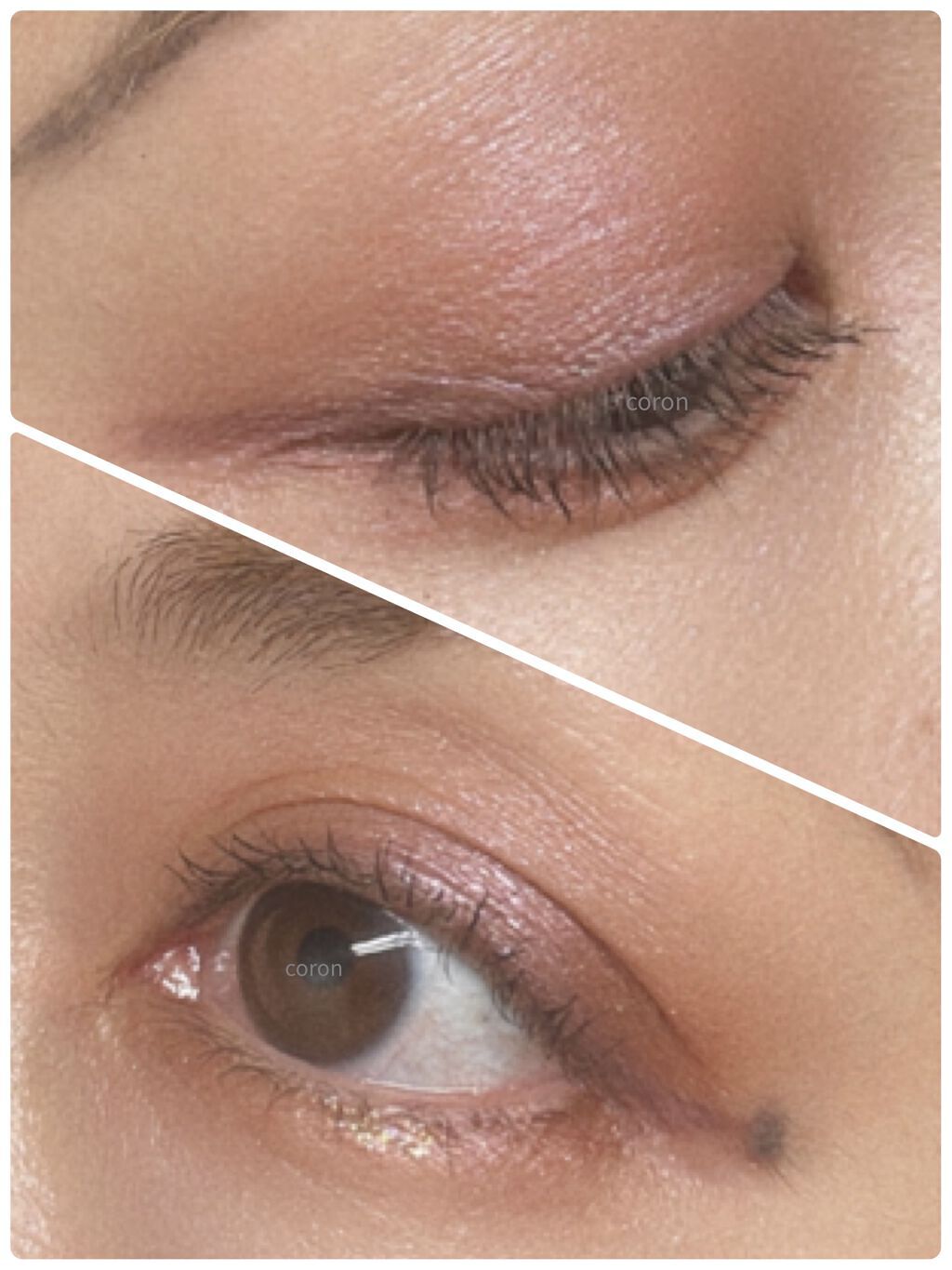 シグニチャー カラー アイズ/SUQQU/アイシャドウパレットを使ったクチコミ（3枚目）