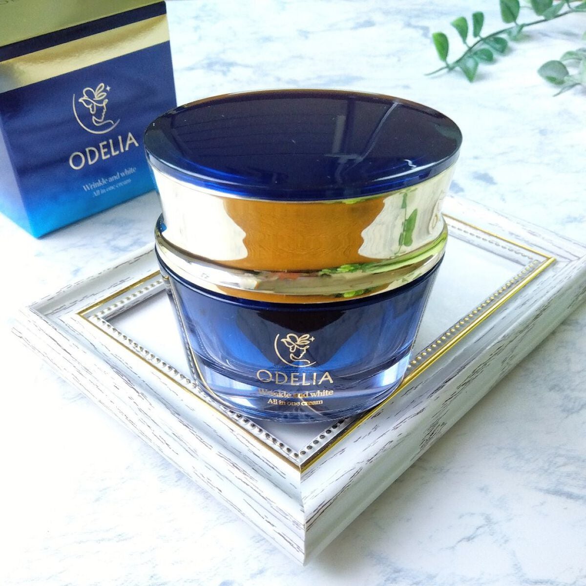 リンクル&ホワイト オールインワンクリーム/ODELIA/オールインワン化粧品を使ったクチコミ(1枚目)