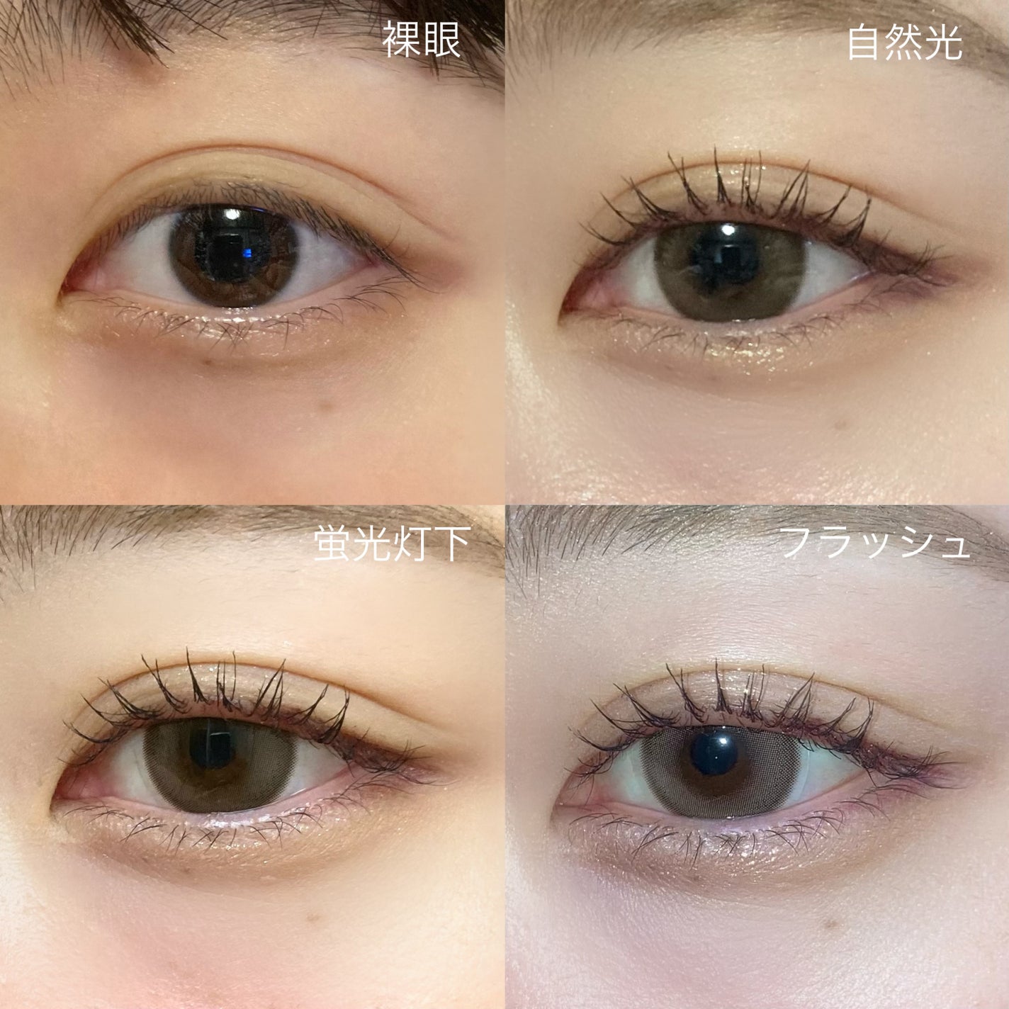 Moodnight 1day/OLENS/ワンデー(1DAY)カラコンを使ったクチコミ(7枚目)