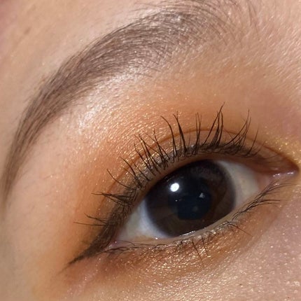 アイシャドウ × 9:メイド マイ フォーチュン/M・A・C/アイシャドウパレットを使ったクチコミ(2枚目)