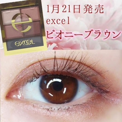 スキニーリッチシャドウ/excel/アイシャドウパレットを使ったクチコミ(1枚目)
