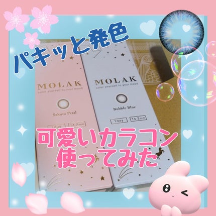MOLAK 1day/MOLAK/ワンデー(1DAY)カラコンを使ったクチコミ(1枚目)