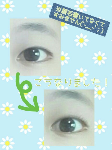 ひとえ・奥ぶたえ用カーラー/アイプチ®/ビューラーを使ったクチコミ(2枚目)