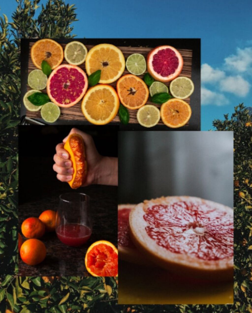 ビバラピンク パフュームハンドクリーム/skybottle/ハンドクリームを使ったクチコミ（3枚目）