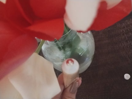 mcgroupakiko on LIPS 「今日はコートを羽織らず仕事に行きましたら、夜は同僚と食事となり..」(9枚目)