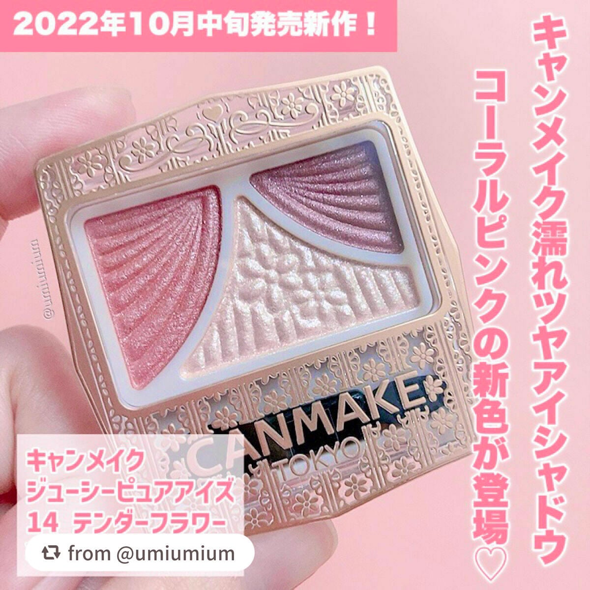 ジューシーピュアアイズ/キャンメイク/アイシャドウパレットを使ったクチコミ(2枚目)