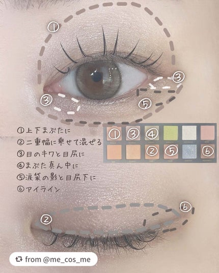 エクスプローラ12色 動物アイシャドウパレット/PERFECT DIARY/アイシャドウパレットを使ったクチコミ(2枚目)