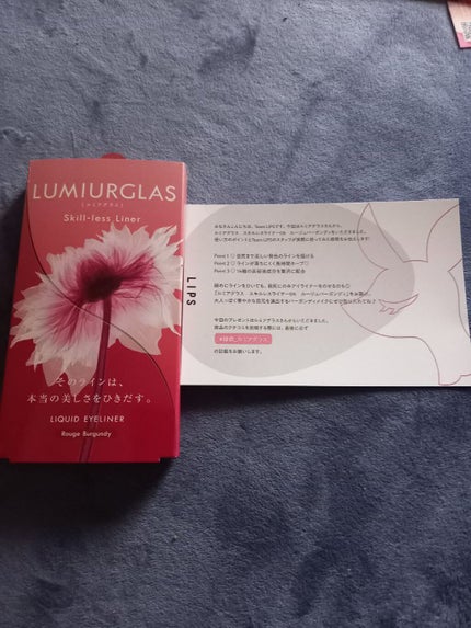 スキルレスライナー/LUMIURGLAS/リキッドアイライナーを使ったクチコミ(1枚目)