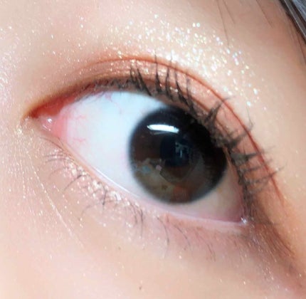 アイグロス S/PAUL & JOE BEAUTE/リキッドアイシャドウを使ったクチコミ(1枚目)