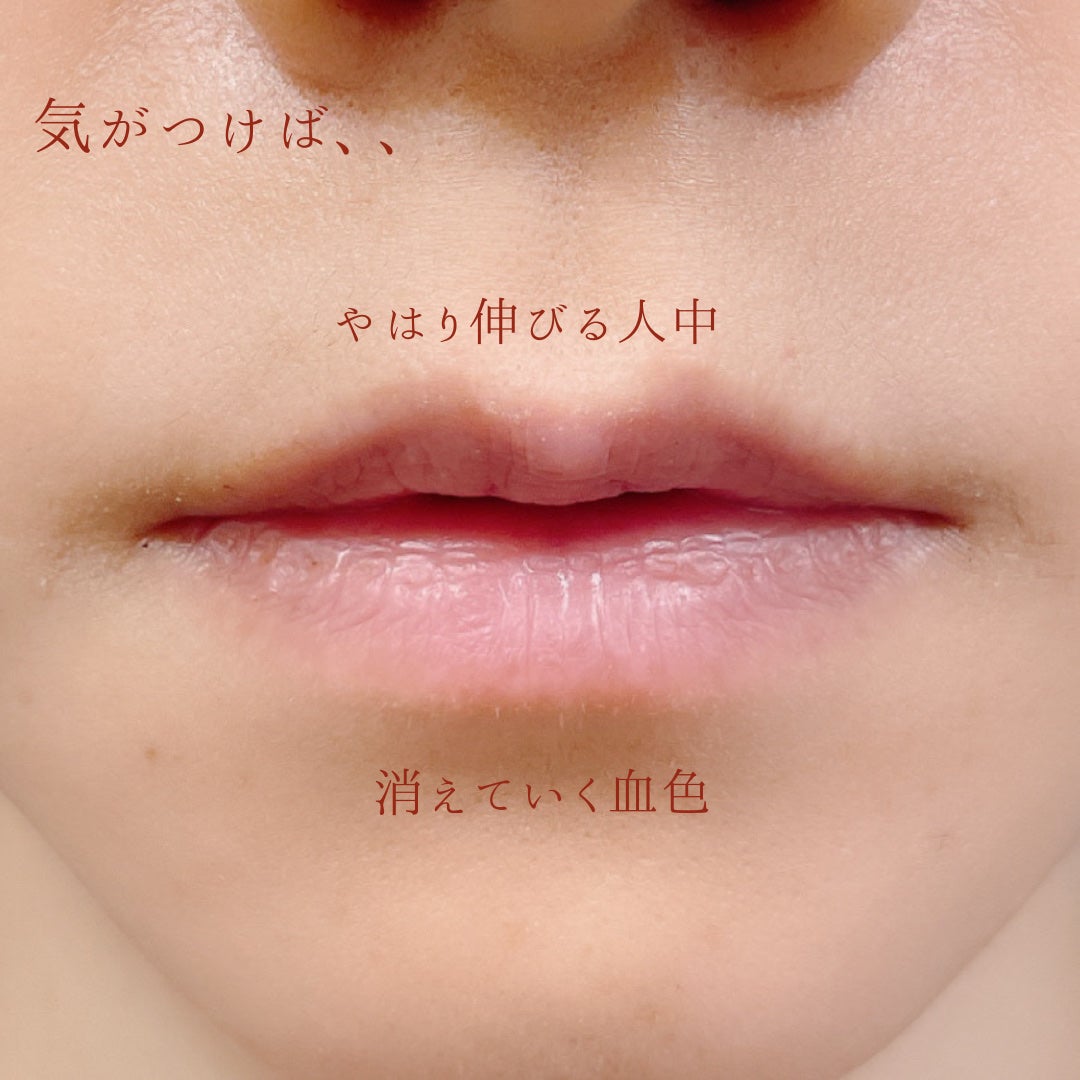 デザイニング フェイスカラーパレット/IPSA/プレストパウダーを使ったクチコミ(2枚目)