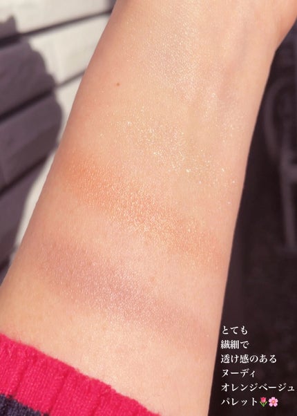 アイカラーレーション/LUNASOL/アイシャドウパレットを使ったクチコミ(5枚目)