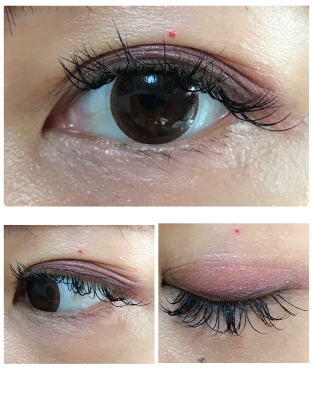 ロイヤルヴィンテージ アイズ/リンメル ロンドン/アイシャドウパレットを使ったクチコミ(4枚目)