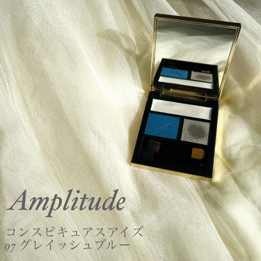 コンスピキュアス アイズ/Amplitude/アイシャドウパレットを使ったクチコミ（1枚目）