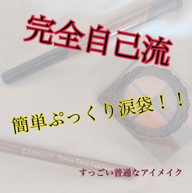 クイックイージーアイライナー/キャンメイク/リキッドアイライナーを使ったクチコミ（1枚目）