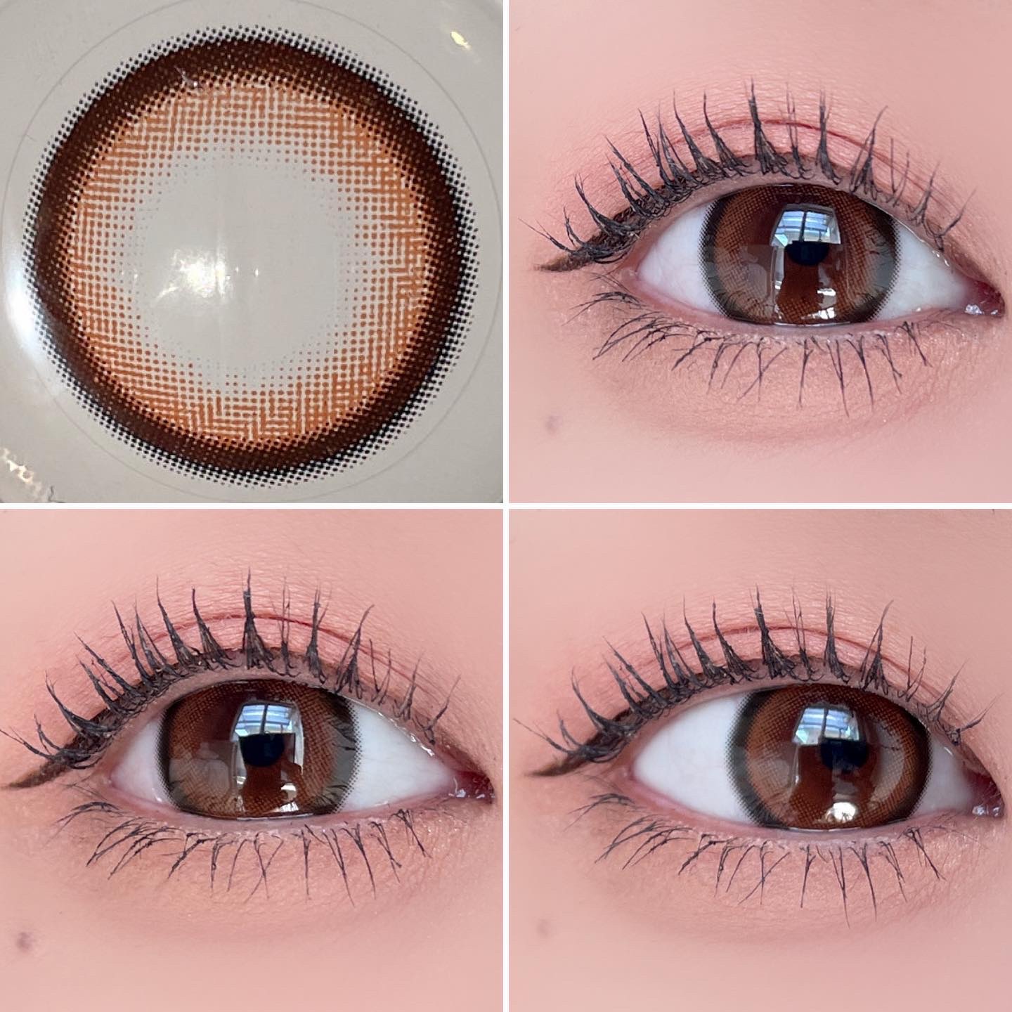 Honey kiss 1day ちゅるんアップル/HoneyKiss/ワンデー（１DAY）カラコンを使ったクチコミ（1枚目）