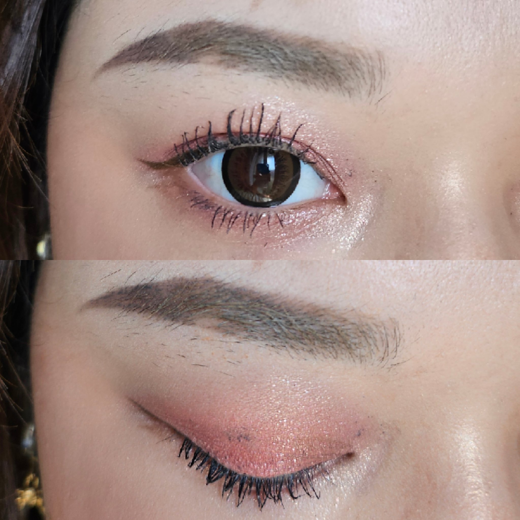 ラッシュボーン ブラックファイバーイン/MAJOLICA MAJORCA/マスカラ下地を使ったクチコミ（2枚目）