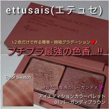 アイエディション(カラーパレット)/ettusais/アイシャドウパレットを使ったクチコミ（1枚目）