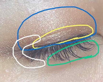 シャドーカスタマイズ/MAJOLICA MAJORCA/単色アイシャドウを使ったクチコミ(2枚目)